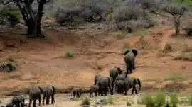 Best Time to Visit Gir Safari – Plan Your Perfect , Ahmedabad