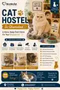 Cat Hostel, Ghaziabad