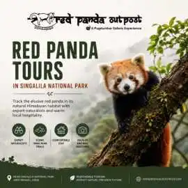 Red Panda Tours in Singalila National Park , Gurgaon
