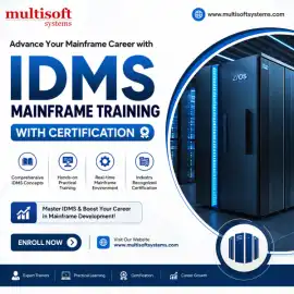 IDMS Mainframe Training and Certification Course, Amador City