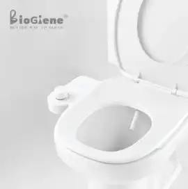 Upgrade Your Bathroom with a Fresh Water Bidet Att, Sugar Land
