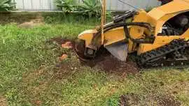 Stump Grinding Lubbock | Tree Stump Removal, & Land Clearing Services in Lubbock, TX, Lubbock