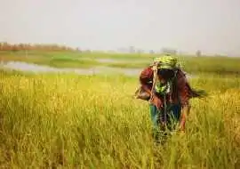 Small Grants, Big Stakes: India’s Evolving Develop