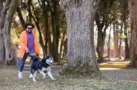 Dog Walkers, Visakhapatnam