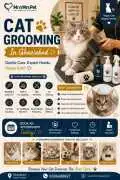 Cat Grooming, Ghaziabad