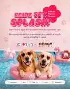Looking for expert support with socialising dogs?, Ahmedabad