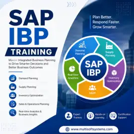 SAP IBP  Online Training & Certification Course, Noida
