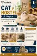 Cat Hostel, Nagpur