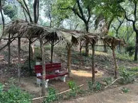 Nature's Shelter: Turning Park Waste into a visual