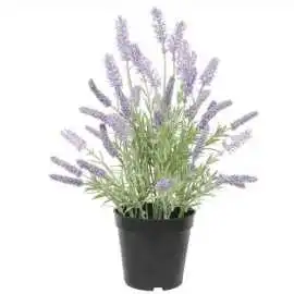 Vibrant and Lasting Artificial Plants and Flowers, Melbourne