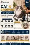 Cat Grooming, Nagpur