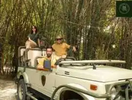 Jungle Safari Outfit for Comfortable & Stylish Wil, Gurgaon