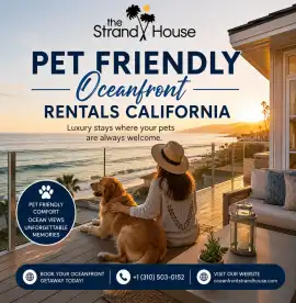 Pet Friendly Oceanfront Rentals California | Beach, Manhattan Beach