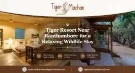 Tiger Resort Near Ranthambore for a Relaxing Stay