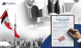 Services for International Company Transfers, Dubai