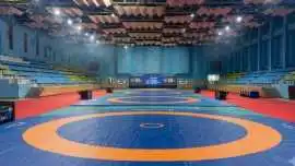 Buy Wrestling Mats Online at the Best Price , ₹ 4,000