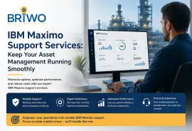  Reliable Maximo Support Service by Briwosolutions, Middletown