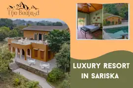 Luxury Resort In Sariska Alwar – Your Perfect Wild, Alwar
