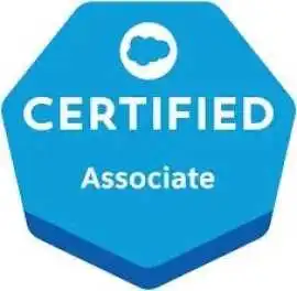 Crack AWS Machine Learning Certification Exam Easi, Floral City