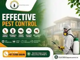 Best Pest Control Service in Lucknow, Lucknow