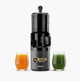 Dylect Slow Juicer Machine for Fresh Healthy Drink, $ 12,999