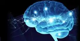 Neurofeedback Brain Training, Ellicott City