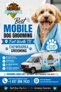 Best Mobile Dog Grooming Fort Worth TX , Fort Worth