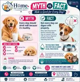 Best Pet Clinic & Veterinary Hospital in Jaipur, Jaipur