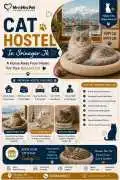 Cat Hostel, Bengaluru