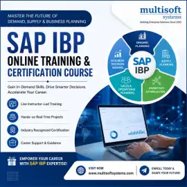 SAP IBP  Online Training & Certification Course, Noida