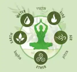 Ayurveda Supplement Manufacturing, Noida