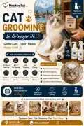 Cat Grooming, Srinagar