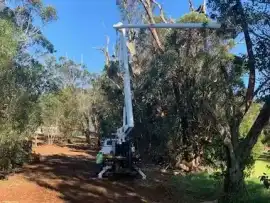 Arborist Services, LLC — Crane Rental Services, Hi, Hilo