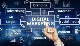 Digital Marketing Services Agency India, Chandigarh