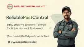 Reliable Pest Control Service in Noida