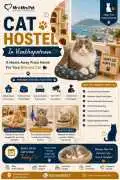 Cat Hostel, Visakhapatnam