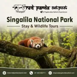 Singalila National Park Stay & Wildlife Tours , Gurgaon