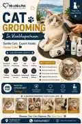 Cat Grooming, Visakhapatnam
