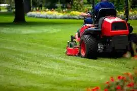 Sunshine Coast Garden Maintenance, Sunset