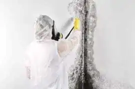 Water Damage Restoration Mauldin, Piedmont