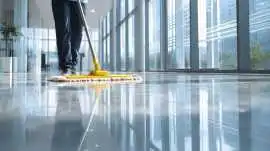 Steam Cleaning in Canberra for Cleaner and Fresher, Banks