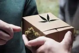 Scarborough Cannabis Delivery: Fast and the Same D, Toronto