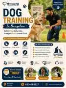 Dog Training Service, Bengaluru