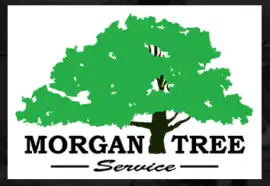 Call Now for Reliable Land Clearing in CA, Paradise