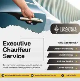 Reliable Executive Chauffeur Service for Meetings, Bukit Timah