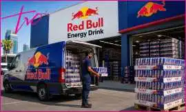 Red Bull Distributor & Wholesale Supplier in Dubai, $ 100