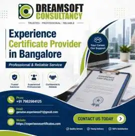 Why Experience Certificates Are Important During B, Bengaluru