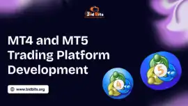 Enable Custom Branding in MT4 and MT5 Trading Plat, Abhana