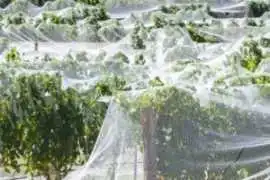 Protect Every Harvest With Reliable Crop Protectio, Dandenong