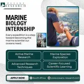 Marine Biology Internship, Mossel Bay